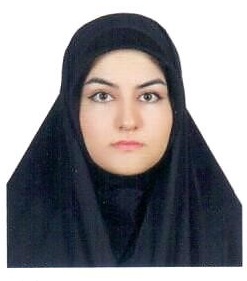 آقای مهدی خانی